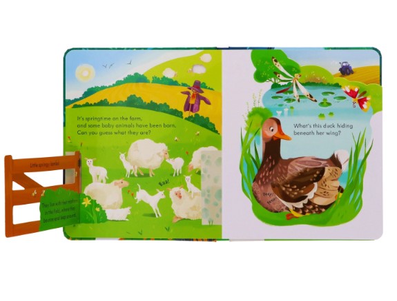 Usborne Peep Inside Collection (6 Books - Board Book 翻翻拉拉遊戲書)