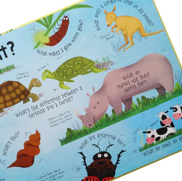 Lift-the-flap Questions and Answers (5 Books 硬皮)