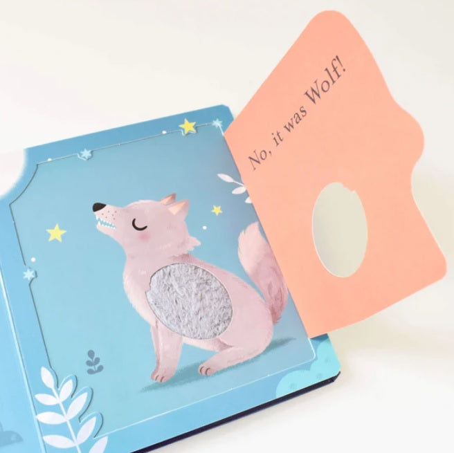 Who Said That? Lift-the-flap Touch and Feel 4 Books Collection (4 Books 紙板書)