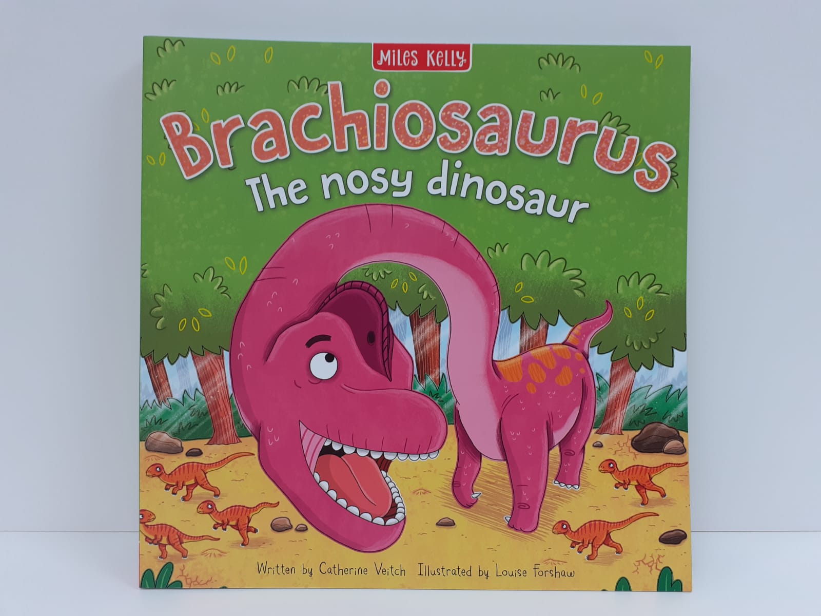 Miles Kelly Dinosaur Adventures Collection Set - B Set (5 Books)