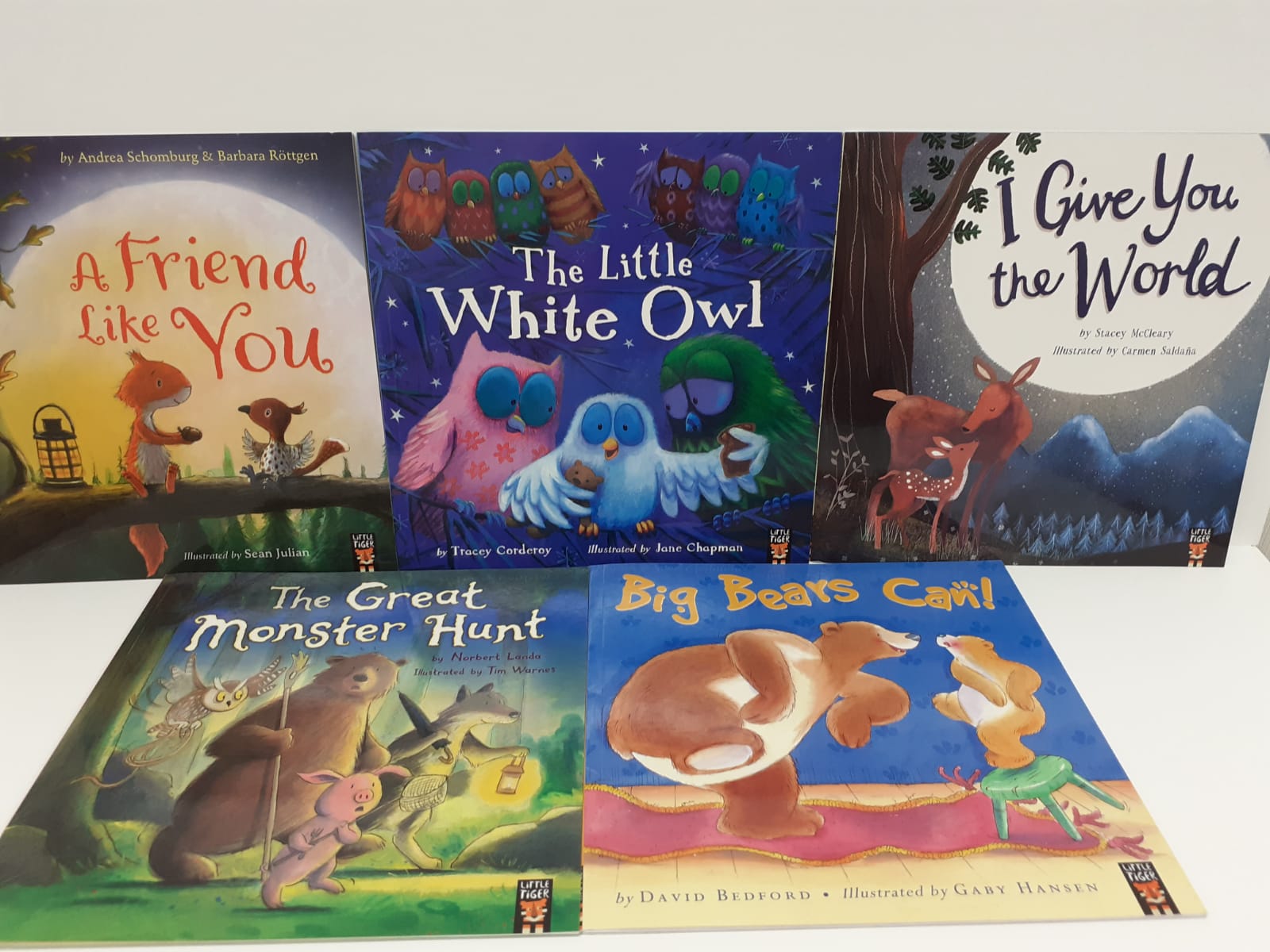 Animal Picture Books [by little Tiger] - B Set (5 Books)