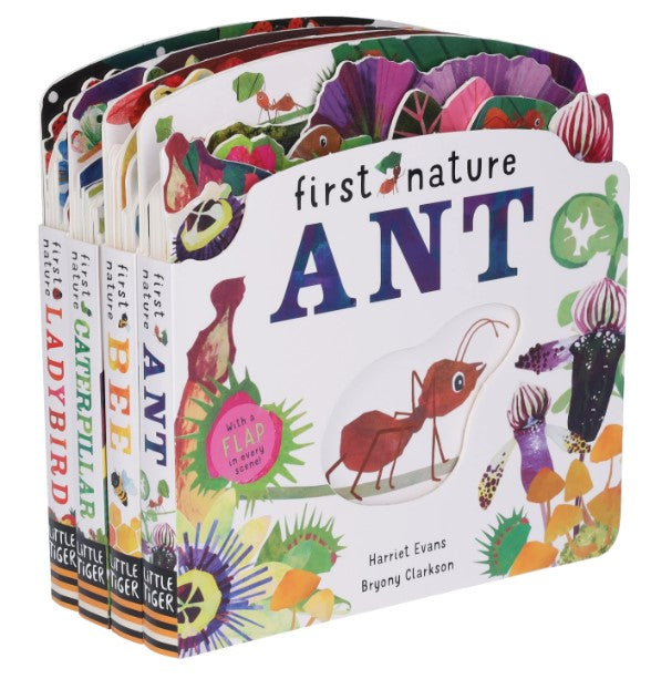 First Nature 4 Books Childrens Collection Set (4 Books 硬皮)